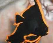 Platax pinnatus Kırmızı Chauve-Sourri...